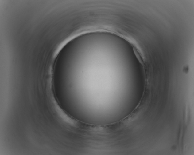 X0000094911524200712131441