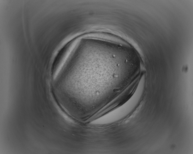X0000094911525200712131441