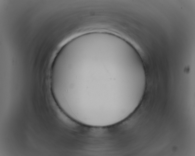 X0000094911526200712131441