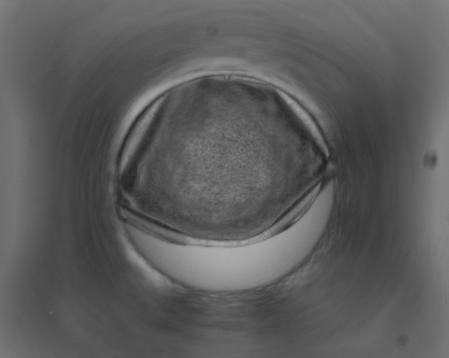 X0000094911527200712131441