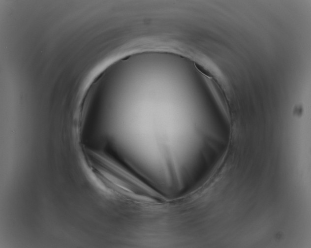 X0000094911528200712131441