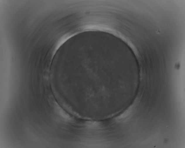 X0000094911529200712131441