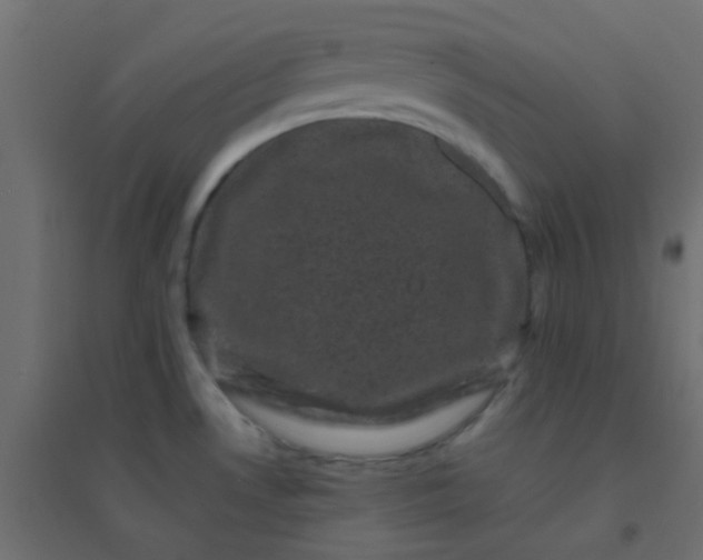 X0000094911530200712131441