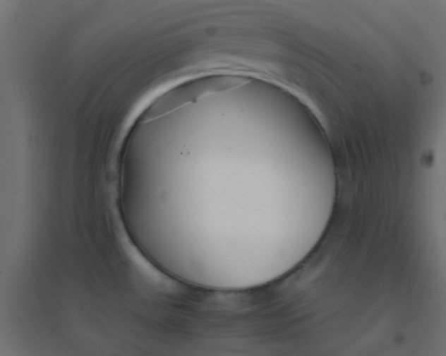 X0000094911531200712131441