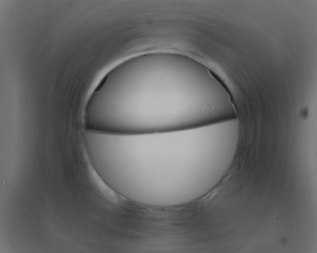 X0000094911532200712131441