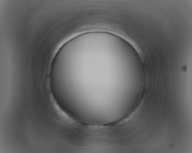 X0000094911534200712131441