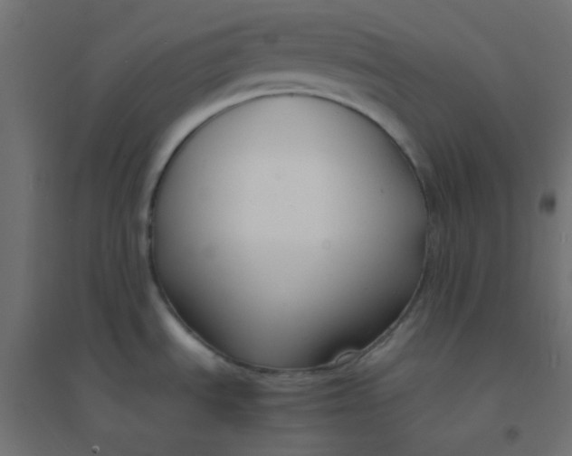 X0000094911535200712131441
