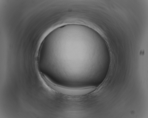X0000094911536200712131441