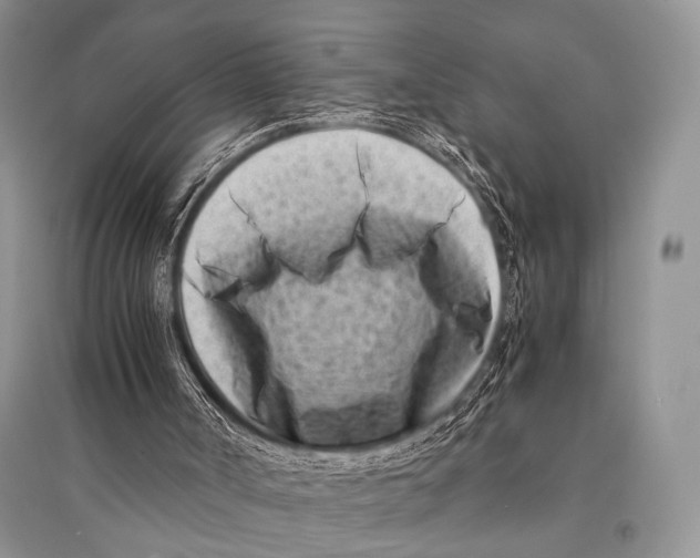 X0000094910002200712201208