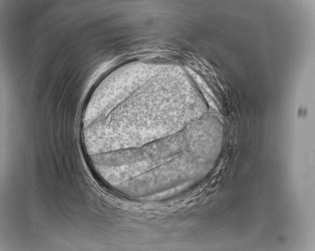 X0000094910003200712201208