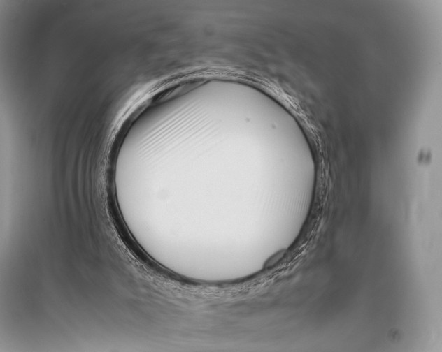 X0000094910007200712201208