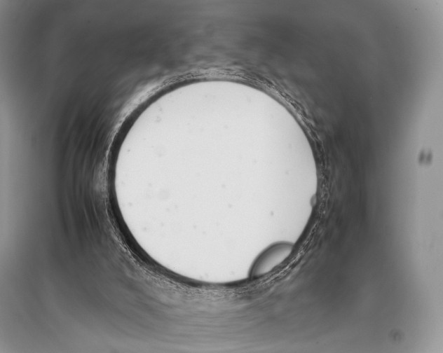 X0000094910008200712201208