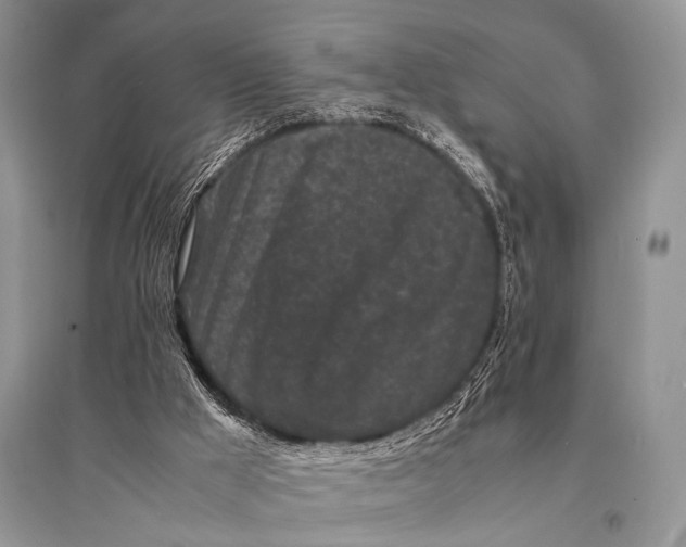 X0000094910009200712201208