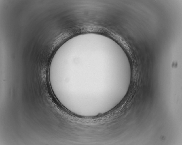 X0000094910010200712201208