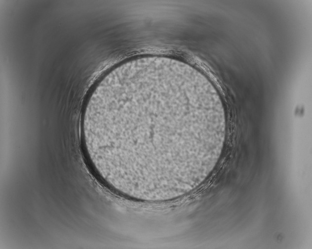 X0000094910011200712201208