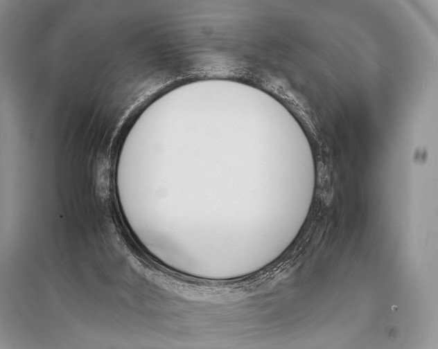 X0000094910012200712201208