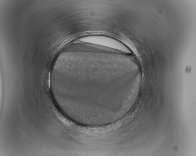 X0000094910013200712201208