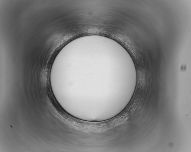 X0000094910016200712201208