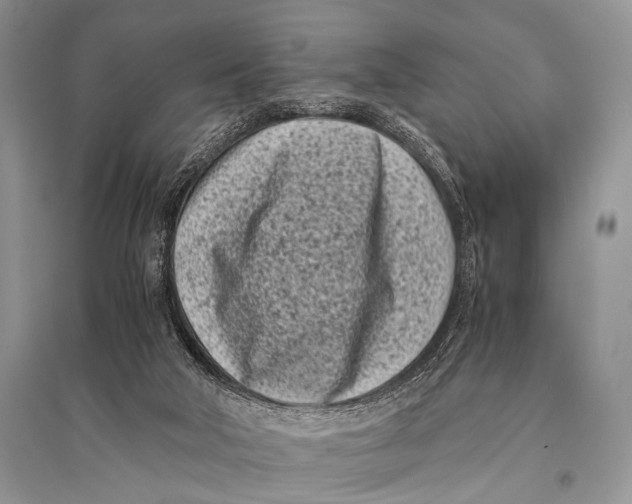 X0000094910018200712201208