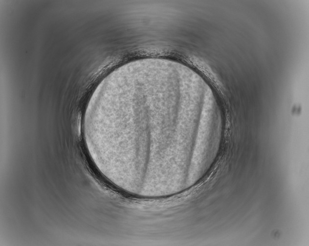 X0000094910021200712201207