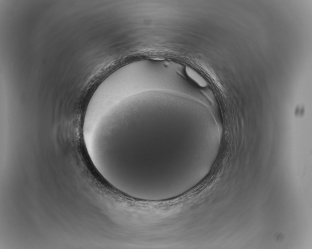 X0000094910023200712201207