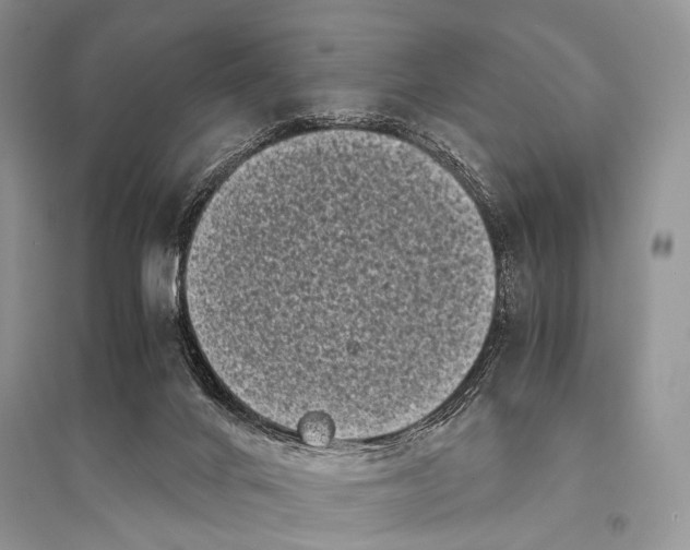 X0000094910024200712201207