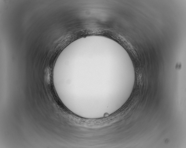 X0000094910026200712201207