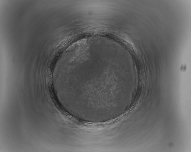 X0000094910029200712201207