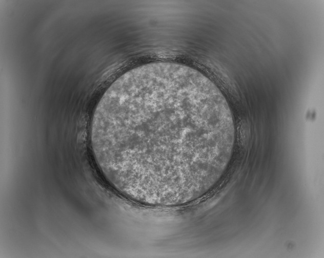 X0000094910032200712201207