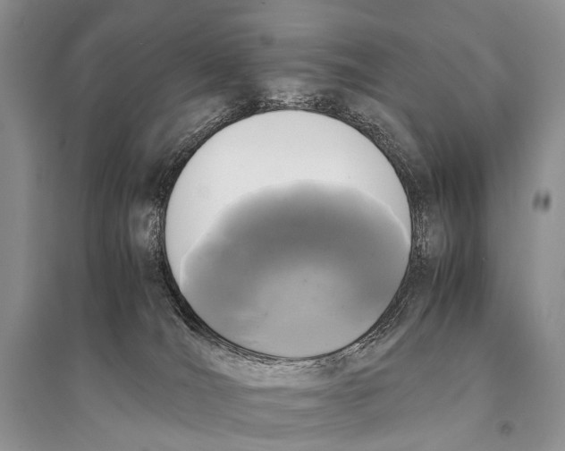 X0000094910036200712201207