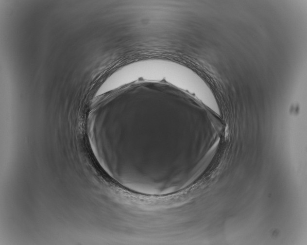 X0000094910039200712201207