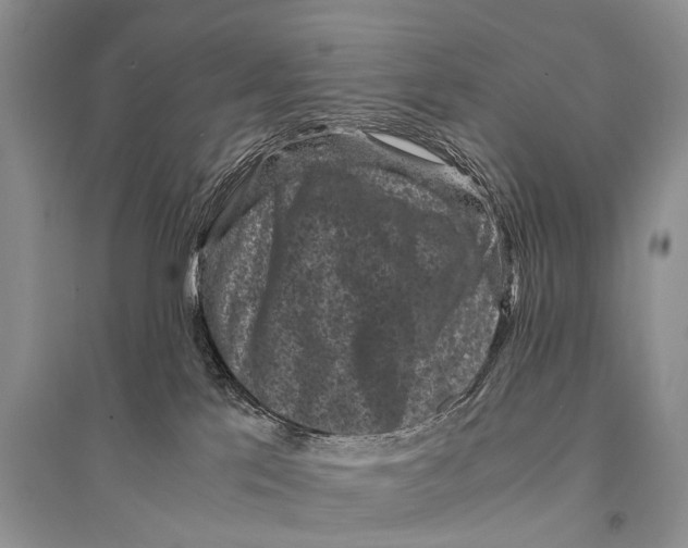 X0000094910041200712201207