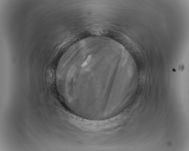 X0000094910043200712201207