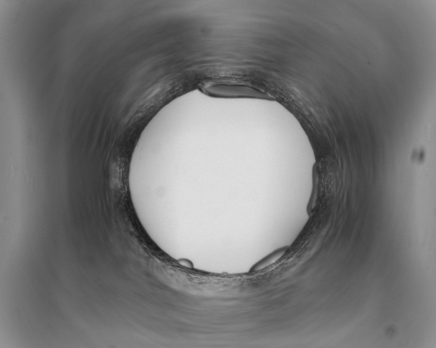 X0000094910044200712201207