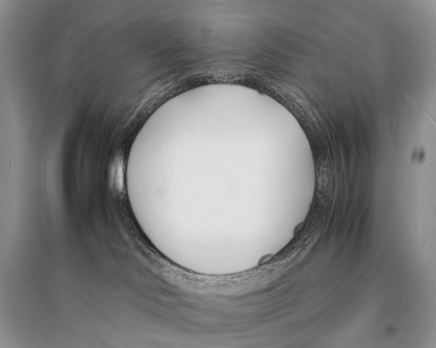 X0000094910046200712201207