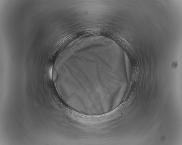 X0000094910047200712201207