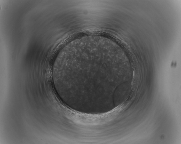 X0000094910048200712201207