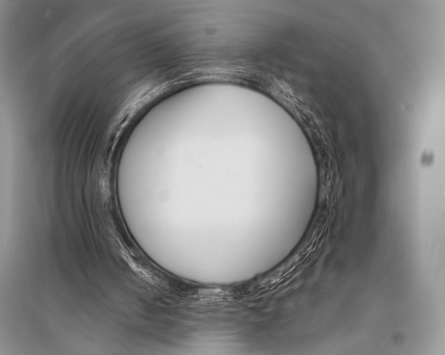 X0000094910050200712201206