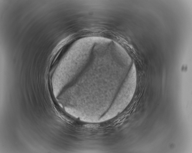 X0000094910051200712201206