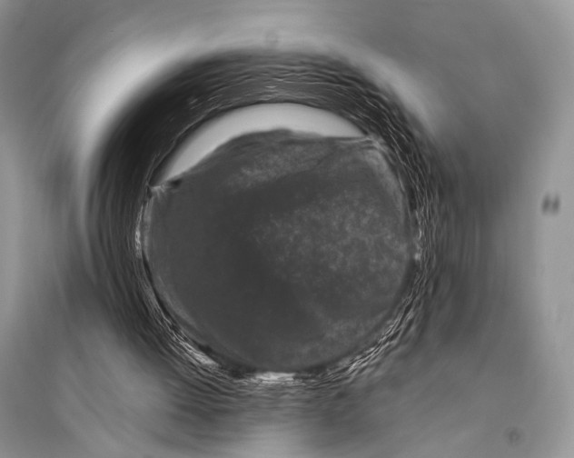 X0000094910052200712201206