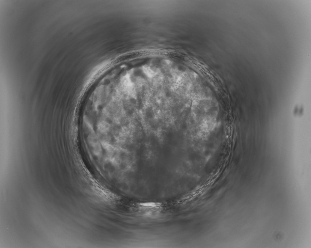 X0000094910053200712201206