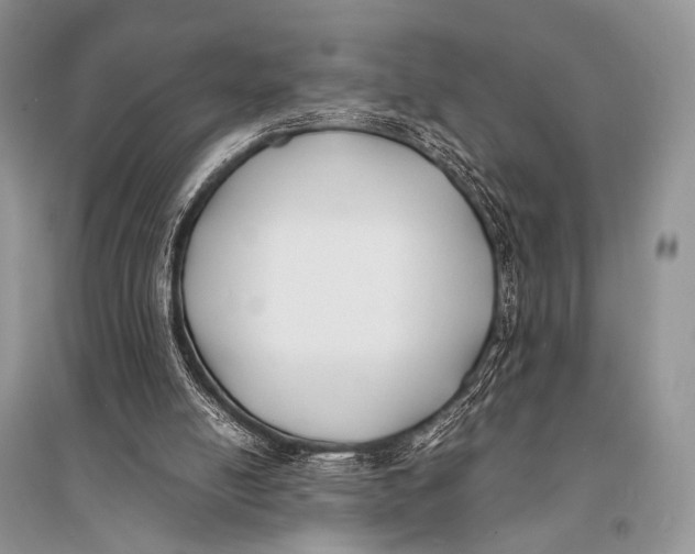 X0000094910054200712201206