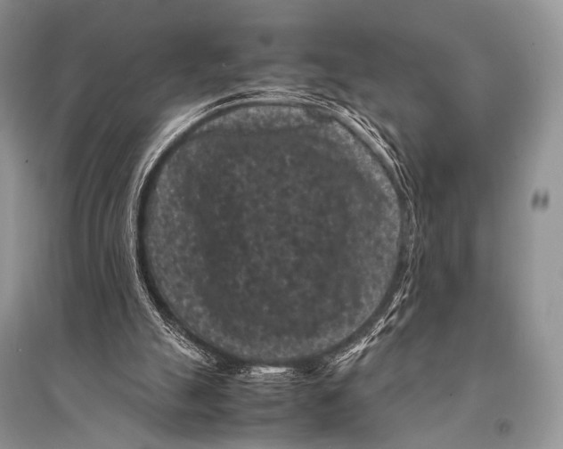 X0000094910055200712201207