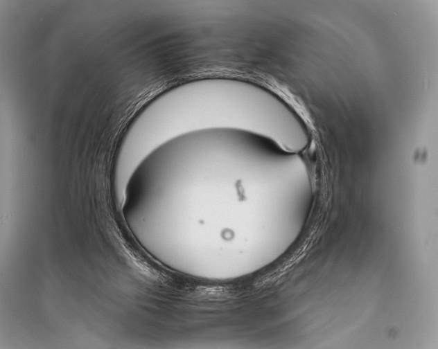 X0000094910057200712201207