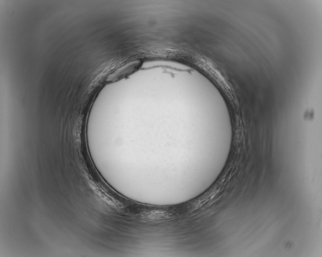 X0000094910058200712201207