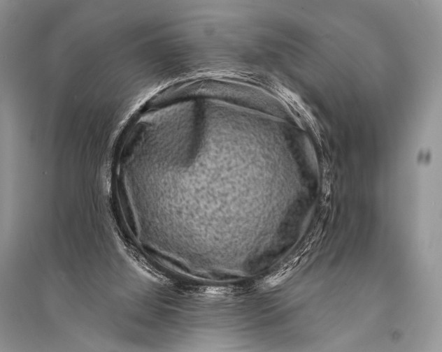 X0000094910060200712201207