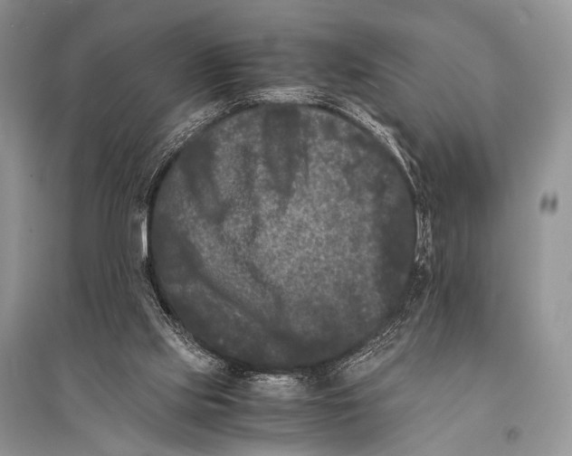 X0000094910061200712201207