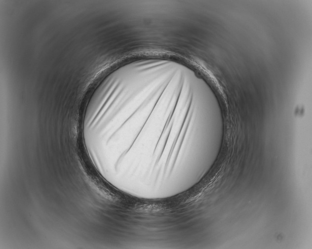 X0000094910063200712201207