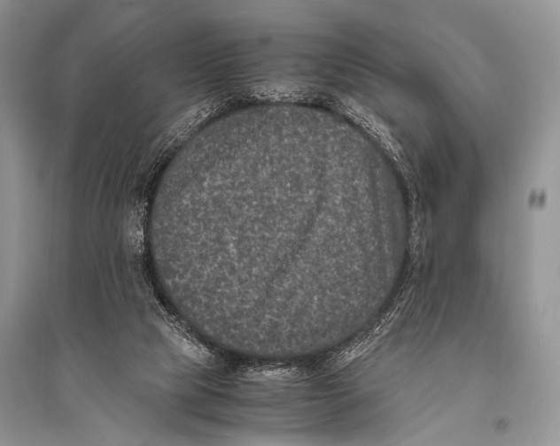 X0000094910065200712201207