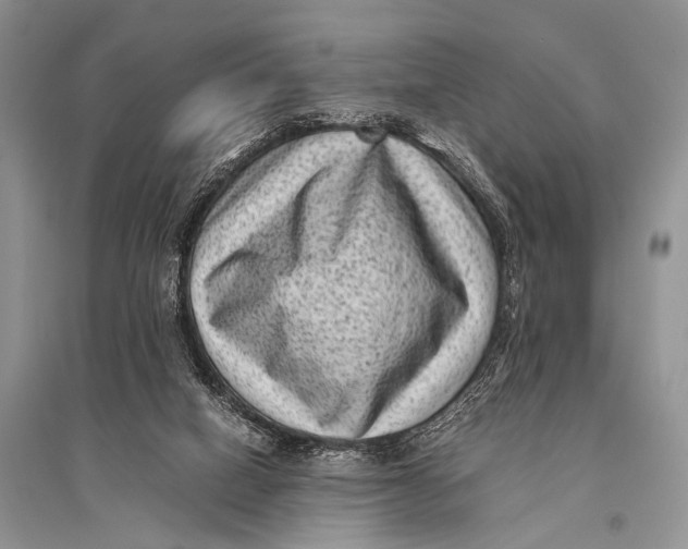 X0000094910066200712201207